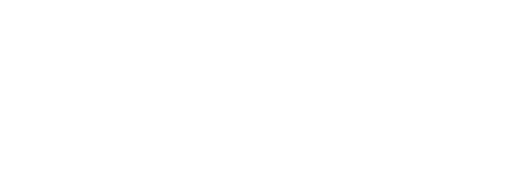 Tectigon Academy